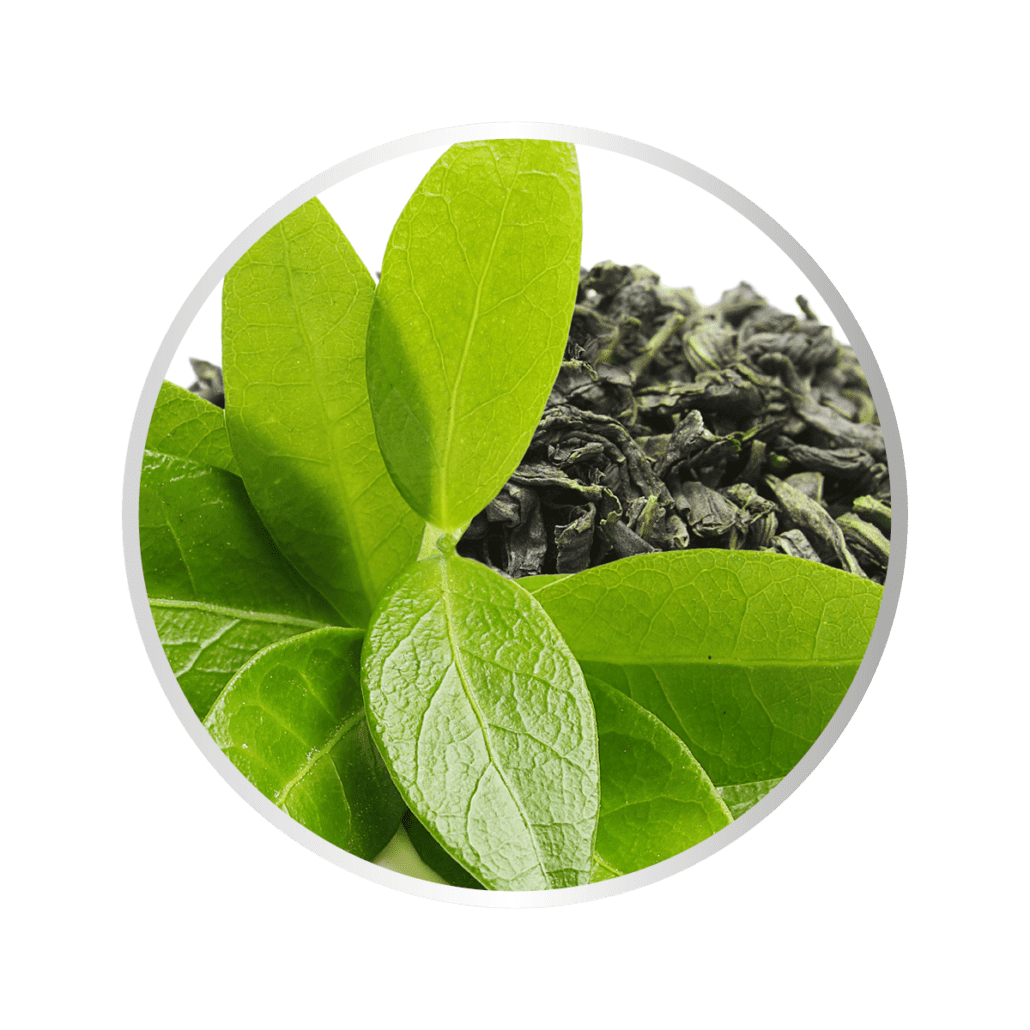 Cemio ROZMARÍN - zelený čaj