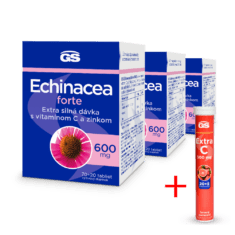 GS Echinacea FORTE 600, 3× 90 tabliet