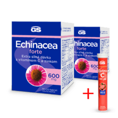 GS Echinacea FORTE 600, 2× 90 tabliet