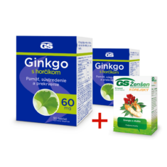 GS Ginkgo 60 mg s horčíkom, 2× 90 tabliet