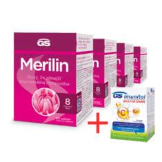 GS Merilin Originál, 4× 60 tabliet